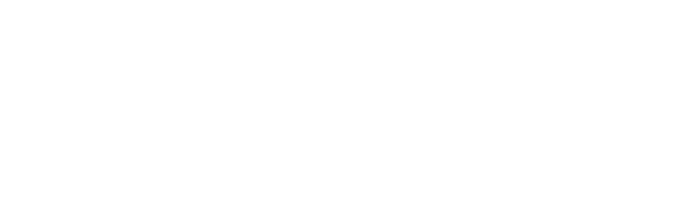ShwariBateau